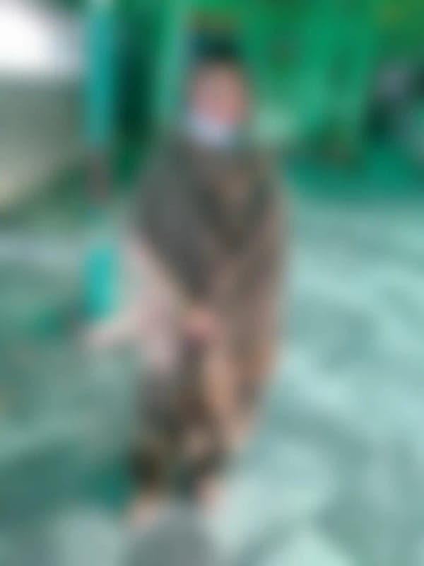 Daraksha Khalid Mehmood - Bride