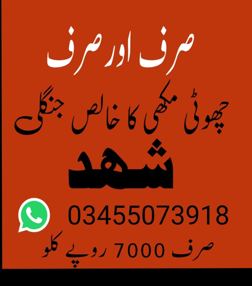 Abdulghafoor Khan - Groom