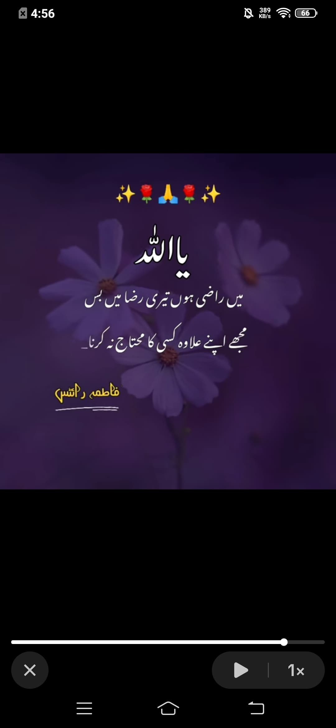 Syed Jamshed Haider Syed Pervaiz - Damat